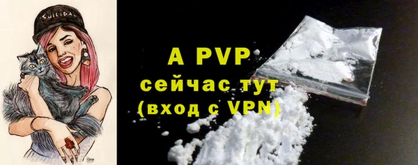 эйфоретик Майский