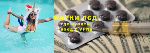 эйфоретик Майский