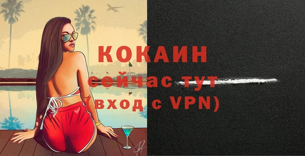 эйфоретик Майский