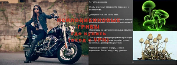 ALPHA-PVP Магас