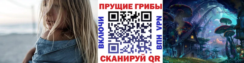 наркота  Чудово  Галлюциногенные грибы прущие грибы 